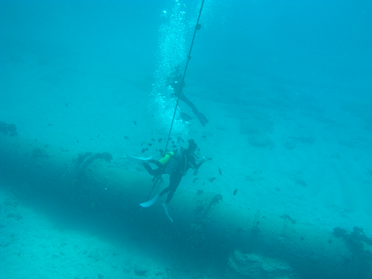 ハワイのオアフ島ケワロパイプでファンダイブ ～ZX DIVING～